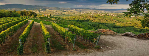 cantina Ferruccio Sgubin