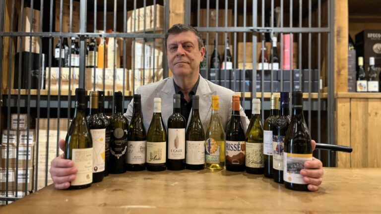 Il Vermentino, vitigno di mare